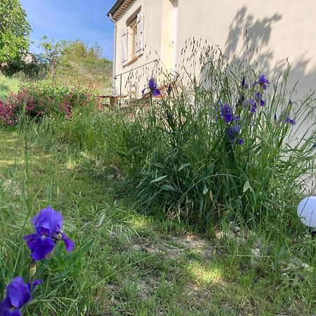 Villa Les Figuiers Cagnes-sur-Mer Eksteriør billede